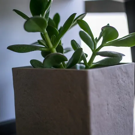 Διαμέρισμα The Keep38 Rhodes City