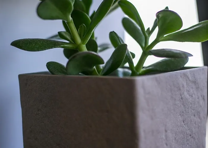 شقة The Keep38 Rhodes City